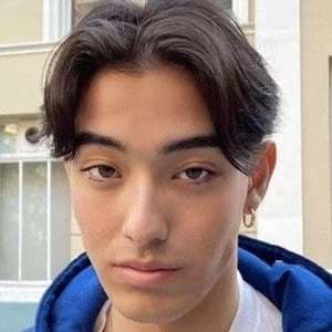 Neil Shibata - Networth, Bio,Birthdate, Family, Wiki & More