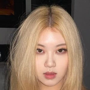 Allissa Shin Biography