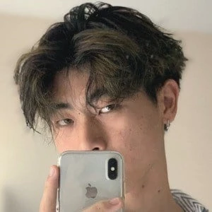 Ace Shinoda - Birthplace, Bio, Wiki, Birthday, Family, Networth & More