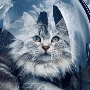 Shuba The Siberian - Age, Bio, Career, Family, Wiki, Networth & More