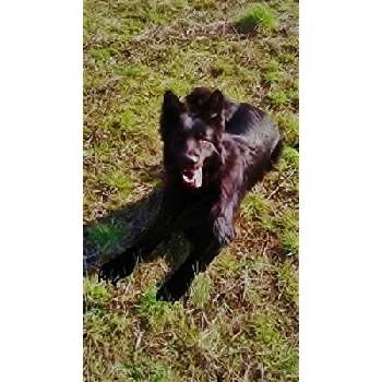 Shuckie - Age, Bio, Birthdate, Family, Networth & More