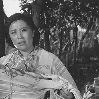 Shuqin Wang - Age, Bio, Birthdate, Family, Networth & More