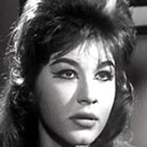 Shwikar - Age, WIki, Birthday, Family, Networth & More