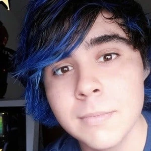 Silvio Gamer - Biography, Birthday, Wiki, Family, Networth & More