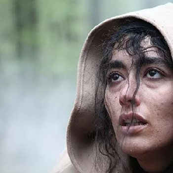 Sima Babaei - Age, Bio, Birthdate, Family, Networth & More