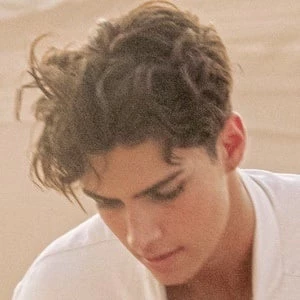 Blake Siniscalchi - Birthday, Bio, Wiki, Family, Networth & More