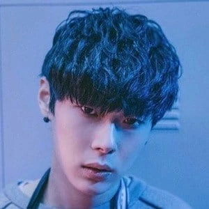 Sion - Income, Birthday, Family, Bio, Networth & More