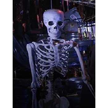 Skeleton - Age, Bio, Birthdate, Family, Networth & More