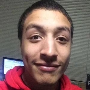 SkywardWing - Biography, Birthdate, Family, Networth & More