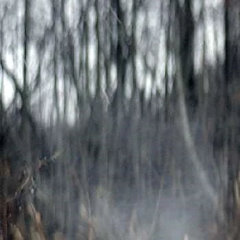 Sofia Mihhaljova - Age, Bio, Birthdate, Family, Networth & More