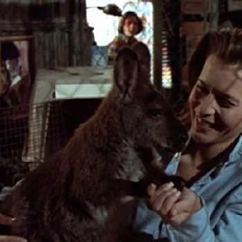 Sofie Formica - Height, Bio, Wiki, Family, Birthplace, Networth & More