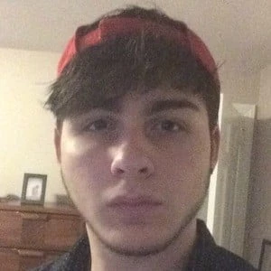 Softwilly Biography