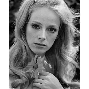 Sondra Locke - Biography, Birthday, Wiki, Family, Networth & More