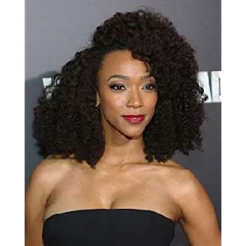 Sonequa Martin-Green - Age, Height, Birthdate, Family, Wiki & More