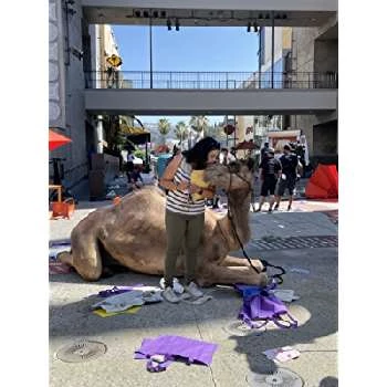 Sonia K. Villerias - Age, Bio, Birthdate, Family, Networth & More