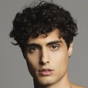 Joshua Sorrentino - Age, WIki, Birthday, Family, Networth & More