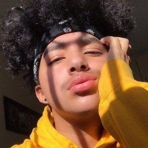 Andy Soto - Biography, Birthday, Family, Wki, Networth & More