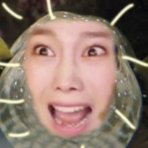 Ssoyoung Biography