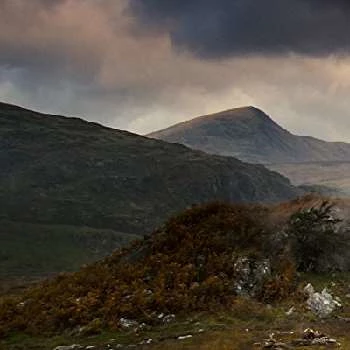 Steffan Thomas - Age, Bio, Birthdate, Family, Networth & More