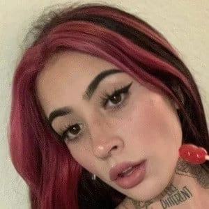 Layla Steinle - Age, Bio, Career, Family, Wiki, Networth & More