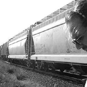 Steve Parys - Bio, Networth, Family, Age, Birthdate & More