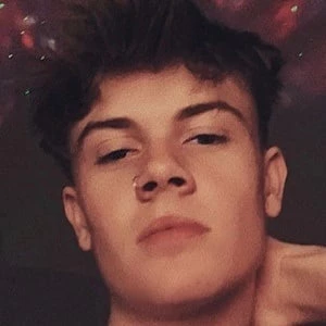 Harry Still - Biography, Birthday, Wiki, Family, Networth & More