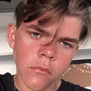 Aaron Stray - Networth, Bio, Wiki, Family, Birthday, Networth & More