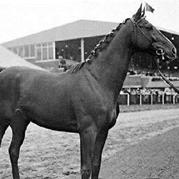 Stymie - Age, Bio, Birthdate, Family, Networth & More