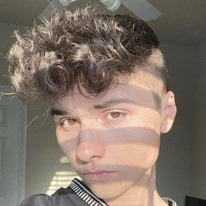 Nico Suarez - Networth, Biography, Birthdate, Family & More