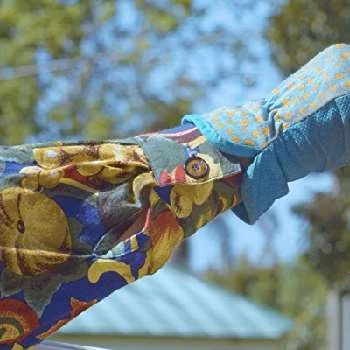 Sue Rosenwax - Age, Bio, Birthdate, Family, Networth & More