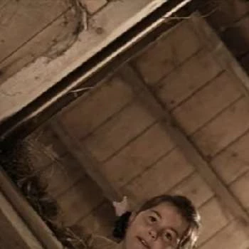 Susan Flanagan - Age, Bio, Birthdate, Family, Networth & More