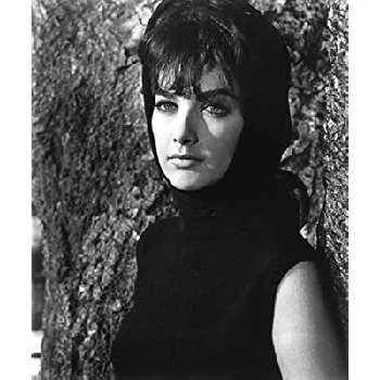 Suzanne Pleshette Biography
