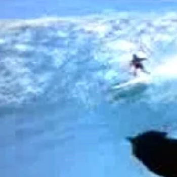 Syn Cat - Age, Bio, Birthdate, Family, Networth & More