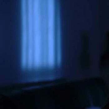 Tamaryn Payne - Age, Bio, Birthdate, Family, Networth & More