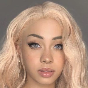 Arielle Tara - Adderess, Bio, Birthdate, Family, Wiki & More