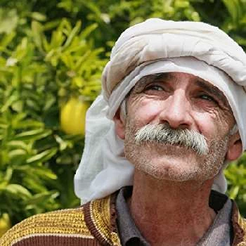 Tarik Kopty - Networth, Bio, Birthdate, Age, Family & More