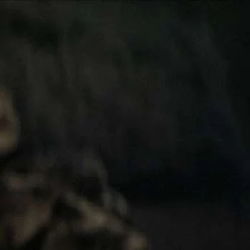 Tarô Marui - Age, Bio, Birthdate, Family, Networth & More