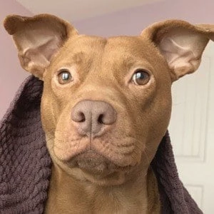 Tatum Talks - Income, Birthday, Family, Bio, Networth & More