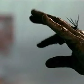 Ted Kroeber - Age, Bio, Birthdate, Family, Networth & More