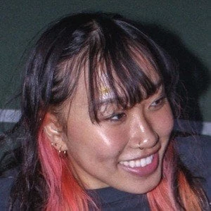 Teriyakimegan Biography