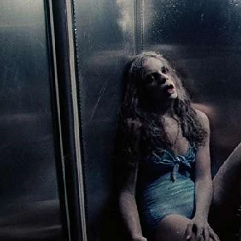 Terry Schonblum - Age, Bio, Birthdate, Family, Networth & More