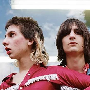 The Lemon Twigs - Age, Bio, Birthdate, Family, Networth & More