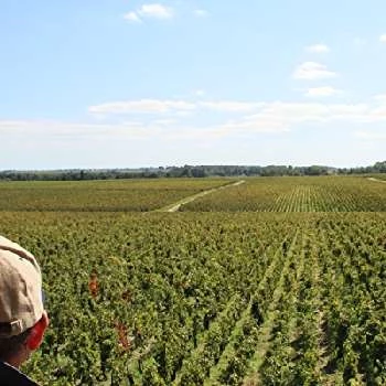 The Vines - Age, Bio, Birthdate, Family, Networth & More