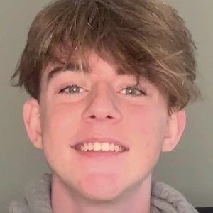 thesirstirfry Biography