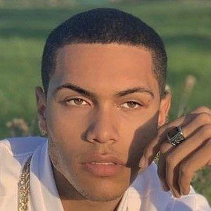 Nelis Joustra - Profession, Biography, Birthdate, Family, Wiki & More