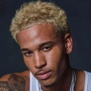 theylovedommm - Birthplace, Bio, Wiki, Birthday, Family, Networth & More