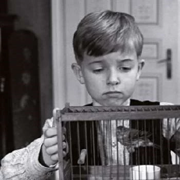 Thibault Sérié - Bio, Networth, Family, Age, Birthdate & More