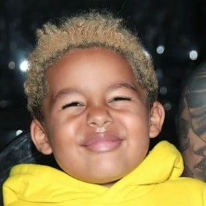 Sebastian Taylor Thomaz Biography