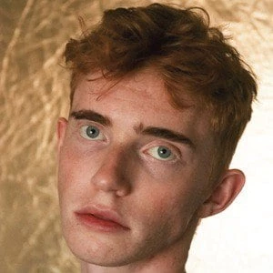 Tucker Thorn - Age, WIki, Birthday, Family, Networth & More