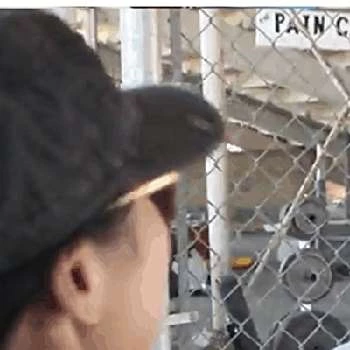 Tiffany DeLa Merced - Age, Bio, Birthdate, Family, Networth & More